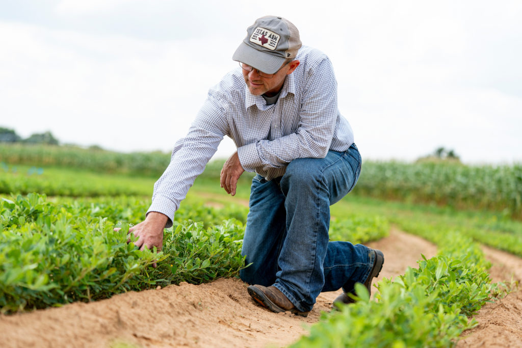 phd scholarships agricultural economics