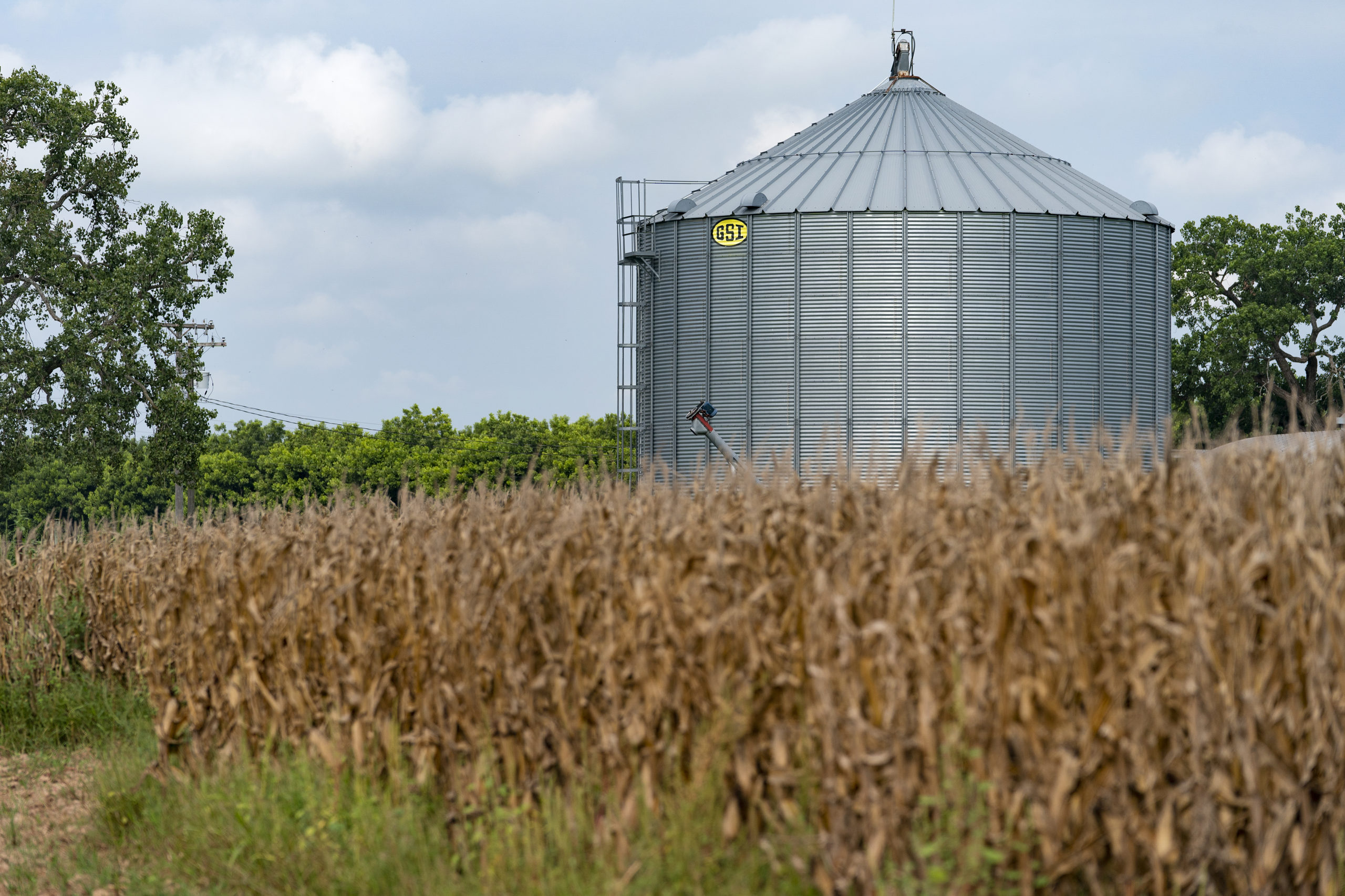 Crop field with a grain bin in the background.