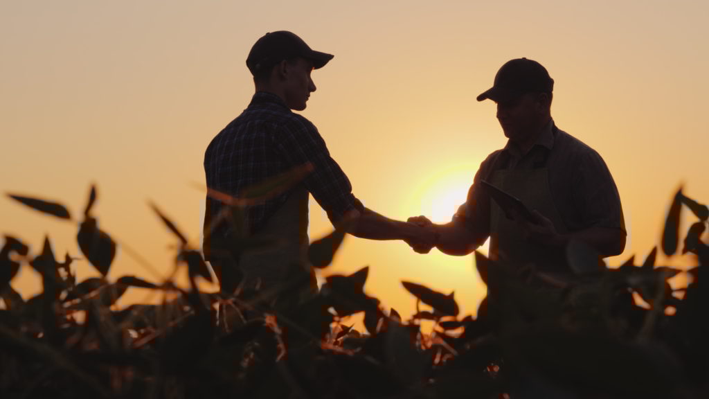 Two farmers shake hands in a field of crops as the sun sets
