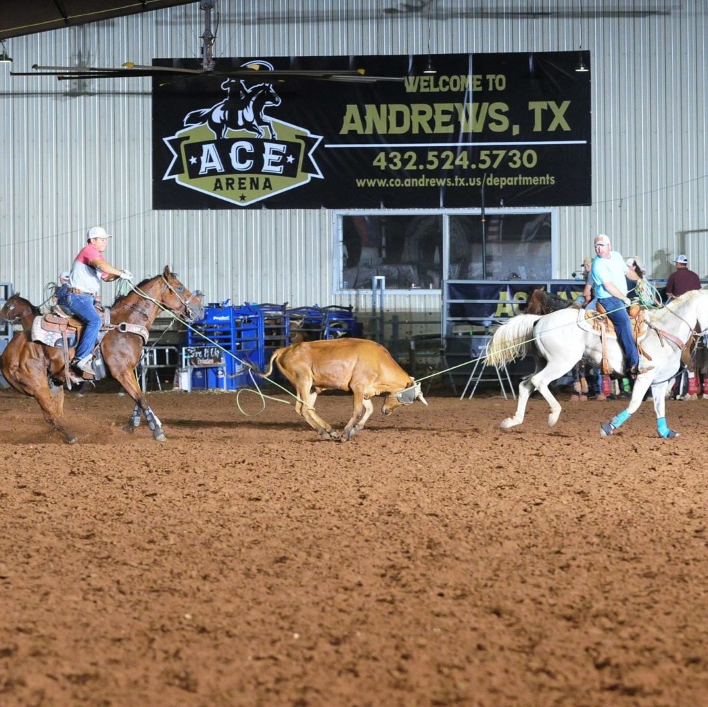 Rodeo arena