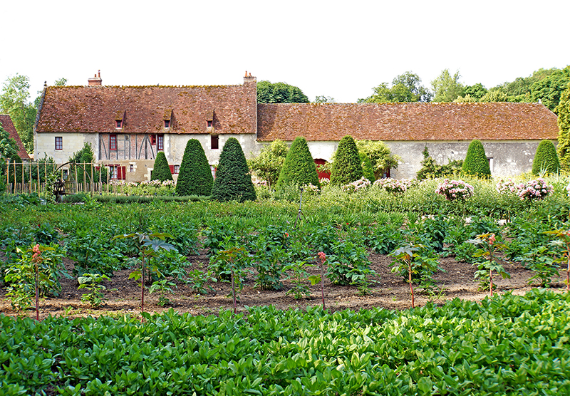 A small garden in France