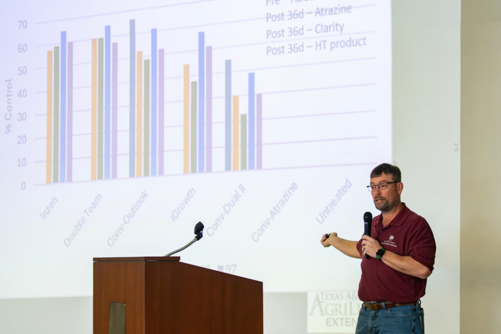 Professor giving a presentation