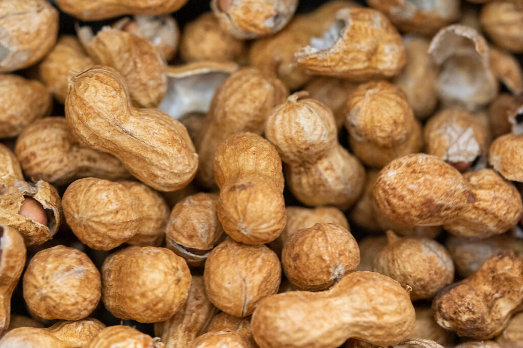 a pile of peanuts in the shell
